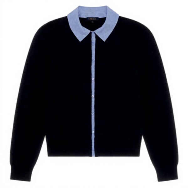 Caroll pull femme 252k-mphoebe2 Sky Captain confortable