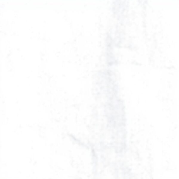 Caroll Pantalon Femme Beige Blanc Vert Kaki Marine