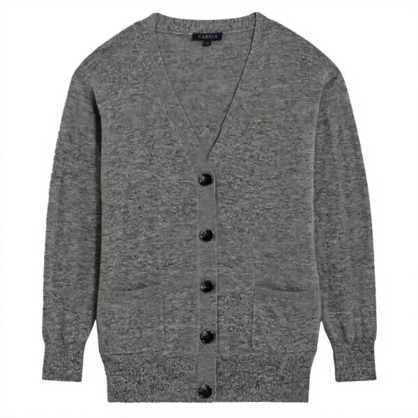 Pull femme CAROLL Col V laine gris fonce mode