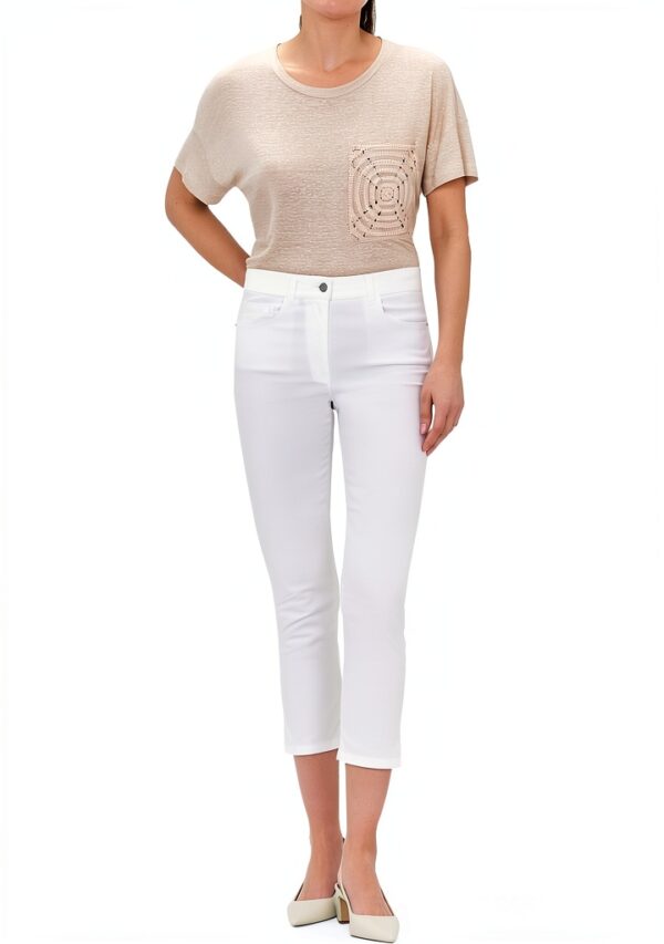 Pavo Monitor Arm Ergonomic Aluminum Desk Mount for